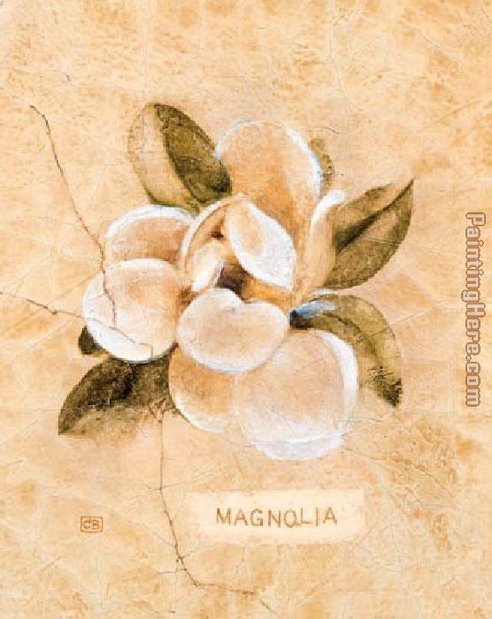 Magnolia on Cracked Linen